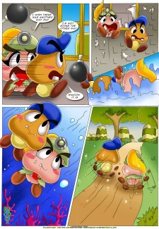 page13