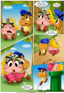 page14