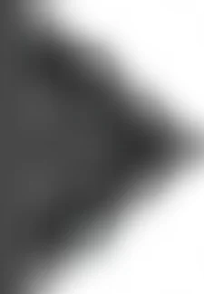 029