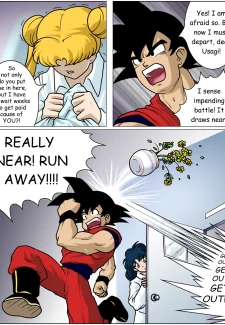 ASH1-19
