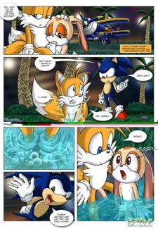 Sonic XxX Project008