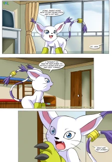 page13