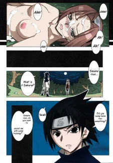 Naruto-Sakurasaku (4)