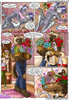Plesure Bon Bon-The guest (9)