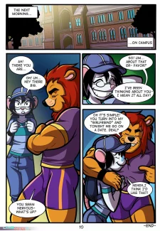11-img