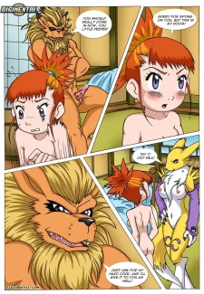 page11