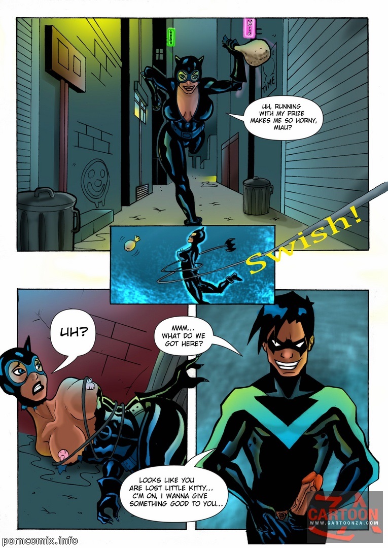 Catwoman Porn Comics Pussy - Justice Leagueâ€“ Nightwing and Catwoman - Porn Cartoon Comics