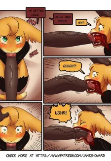 13-picsx