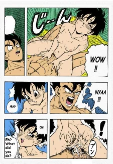 gohan-x-videl-11