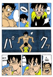 gohan-x-videl-5