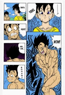 gohan-x-videl-6