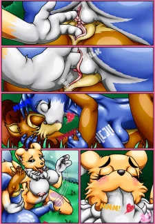 A Camping Trip031