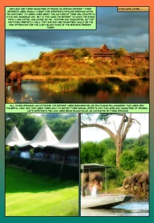 Africanized Part 2012