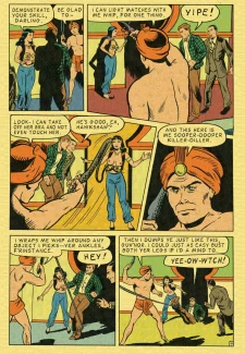 Crime Smashers! 2 (15)