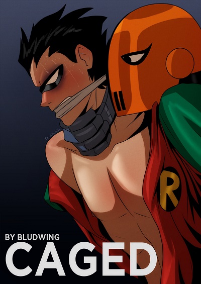 Caged (Teen Titans)- Bludwing