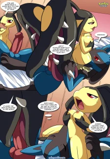 Lucario’s Gift011