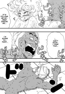 NAM VS RANFAN017