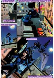Nightbird (26)