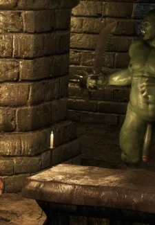 Syndori’s Experience (43)