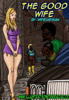 Illustratedinterracial- The Good Wife - info
