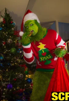 The Grinch (115)