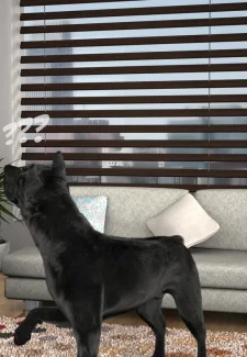 ExtremeXworld- Obedience Training (11)