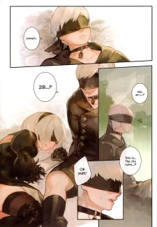 A29S2B (4)