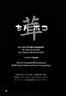 chinpoko_17