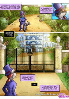 Bon Bon-Raccoon Business 2 (4)