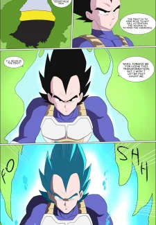 Vegeta Rematch by Zetarok004