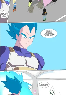 Vegeta Rematch by Zetarok006
