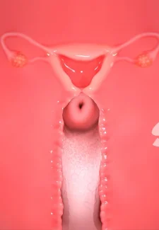 First Lesson Sex- Extremex World (55)