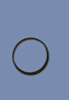 Magical_Ring_of_Possession_32