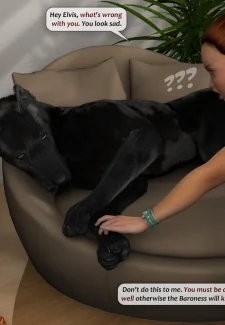 Elvis (13)