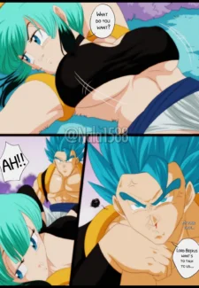 Bulchi x Gogeta (36)