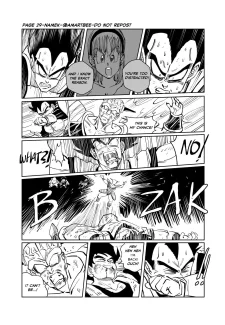 Amartbee – Namek (Dragon Ball Z) (35)