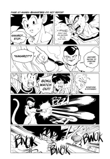 Amartbee – Namek (Dragon Ball Z) (74)