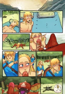 Breath of Bokoblin Cock0010