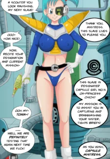 Dragonball Z – The Capsule Mistress0005