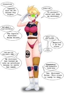 Dragonball Z – The Capsule Mistress0016