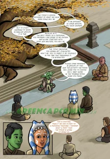 Star Wars- The Force In Depth In The Privacy (3)