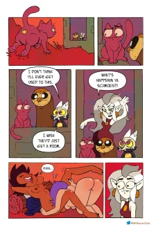 Owl Klaus0019