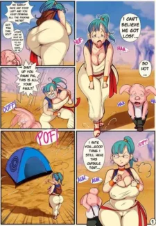 Young Bulma X Oolong (ilikecomix cover)