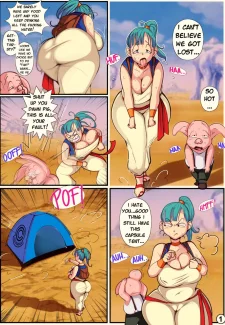 Young Bulma X Oolong0004
