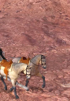 Old Wild West- Vger (18)
