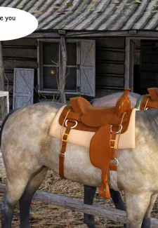 Old Wild West- Vger (6)