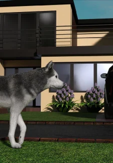 Amanda 37- CrazyDad3D (45)