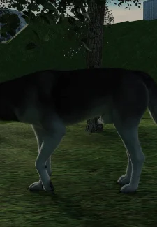 Amanda 37- CrazyDad3D (87)