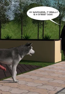 Amanda 39- [ZOO] (99)