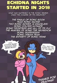 Echidna Nights (Sonic The Hedgehog) (80)